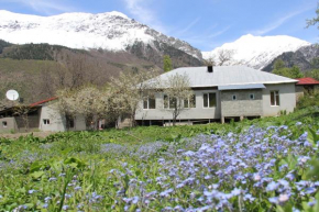 Гостиница Emmas Guesthouse  Chvabiani